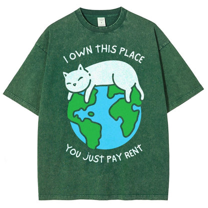 I Own This Place Vintage Distressed T-shirt