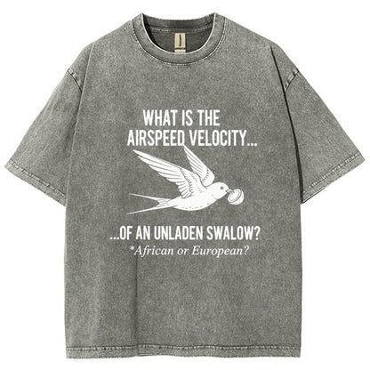What Is The Airspeed Velocity...Art Print Vintage Distressed T-shirt