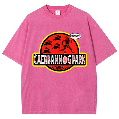 Greenwood Park Vintage Distressed T-shirt