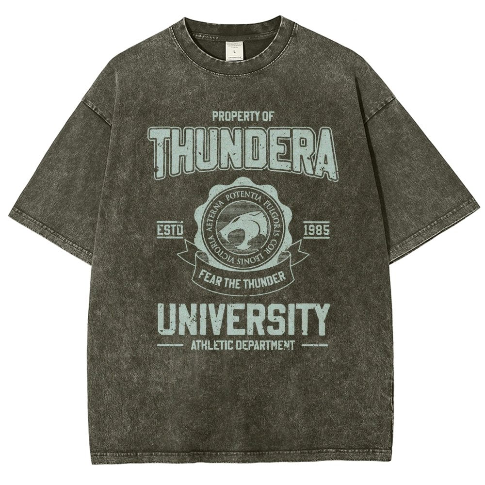 Mystic Valley University Vintage Distressed T-shirt