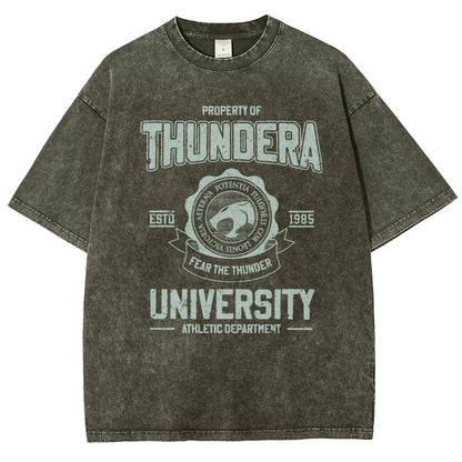 Mystic Valley University Vintage Distressed T-shirt