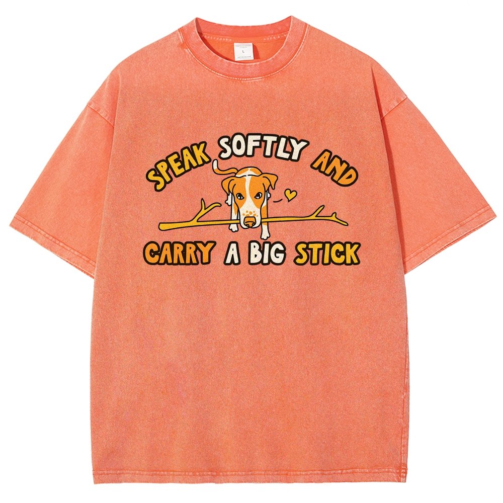Speak Softly And Carry A Big Stick Vintage Distressed T-shirt