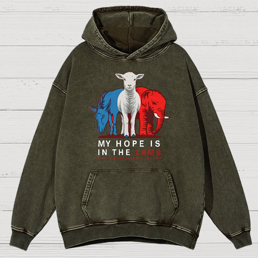 My Hope Is In The Lamb Vintage Distressed Hoodie