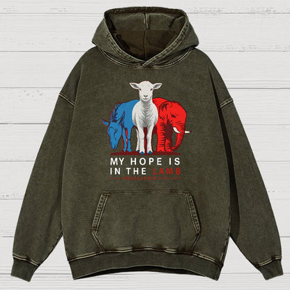 My Hope Is In The Lamb Vintage Distressed Hoodie