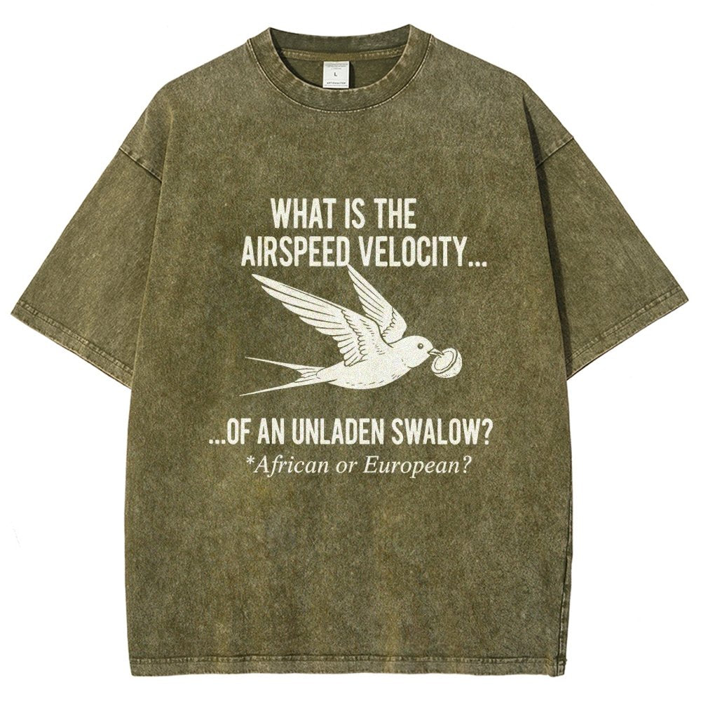 What Is The Airspeed Velocity...Art Print Vintage Distressed T-shirt