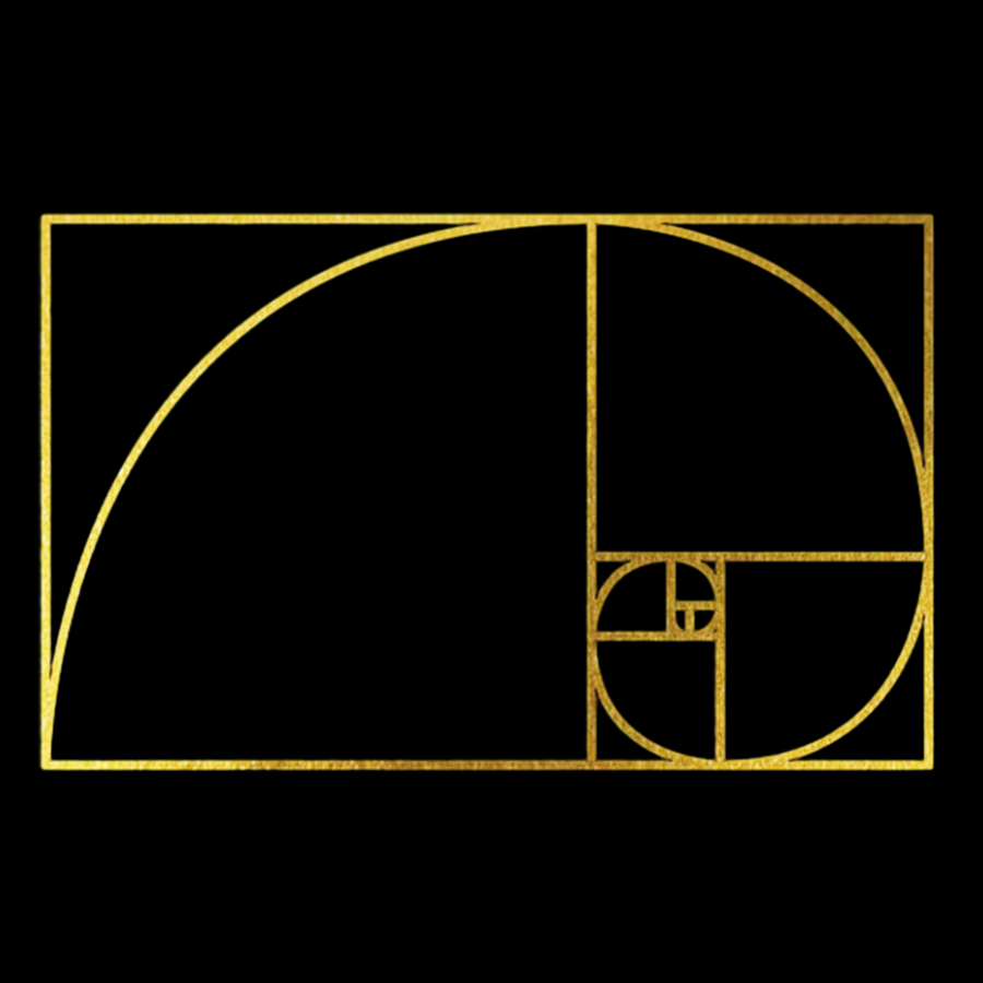 Distressed Fibonacci Spiral Geek Cotton Sweatshirt