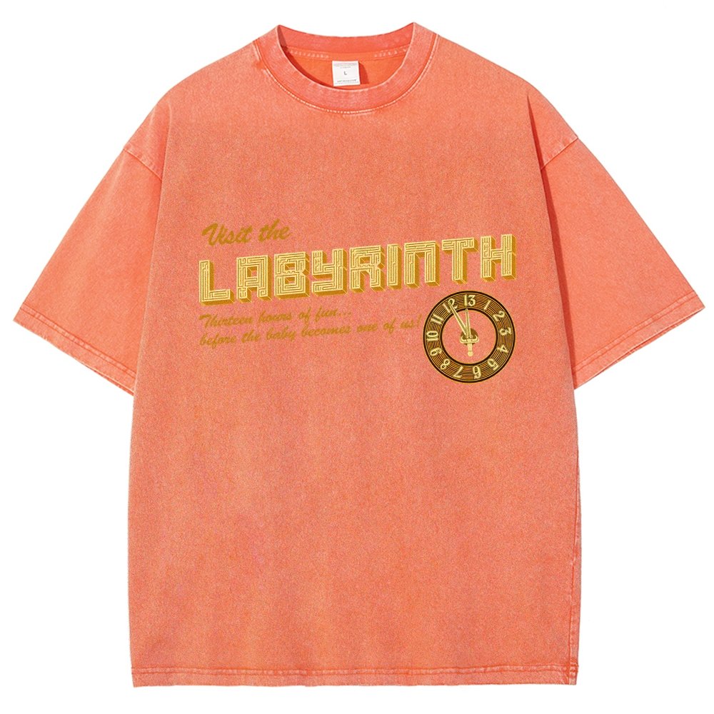 Visit the Maze Vintage Distressed T-shirt