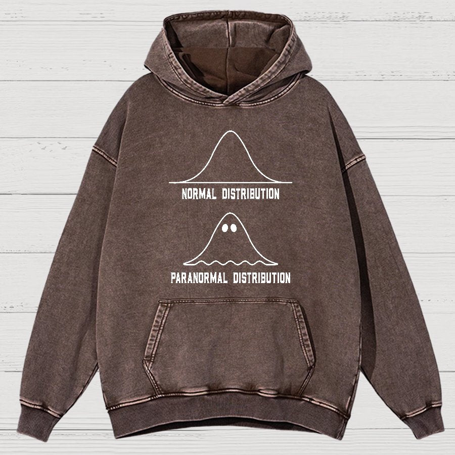 Math Statistics Normal Distribution Paranormal Distribution teacher gift Classic Vintage Distressed Hoodie