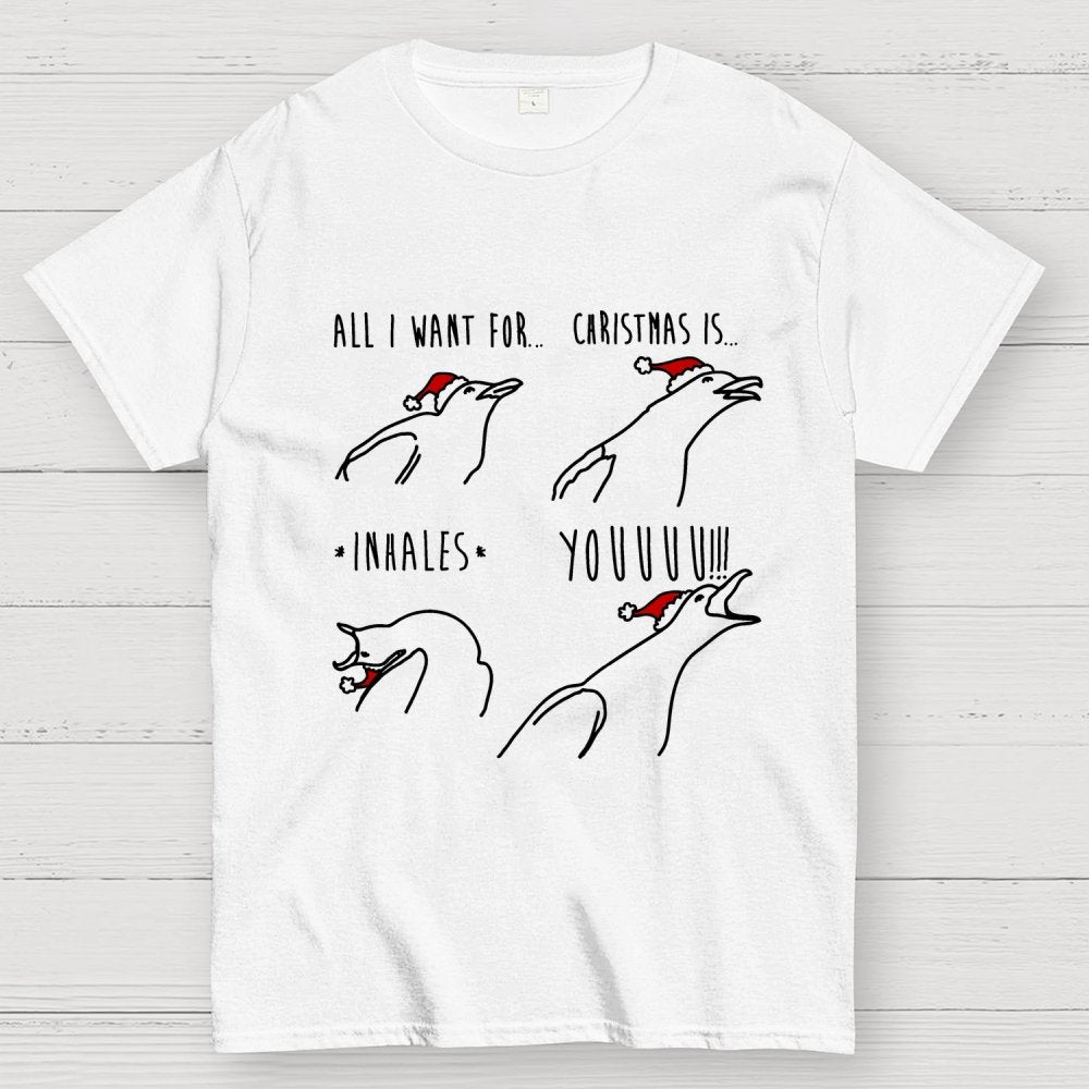 All I Want For Christmas Is You Geek T-Shirt