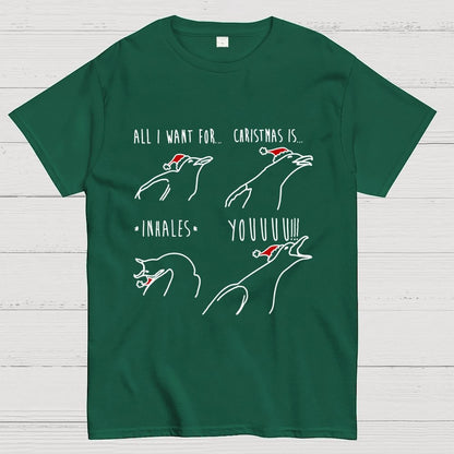 All I Want For Christmas Is You Geek T-Shirt