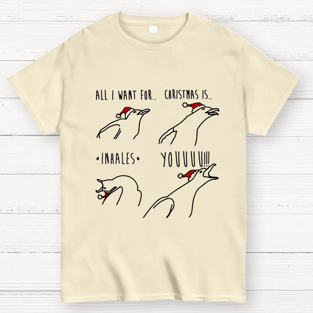 All I Want For Christmas Is You Geek T-Shirt