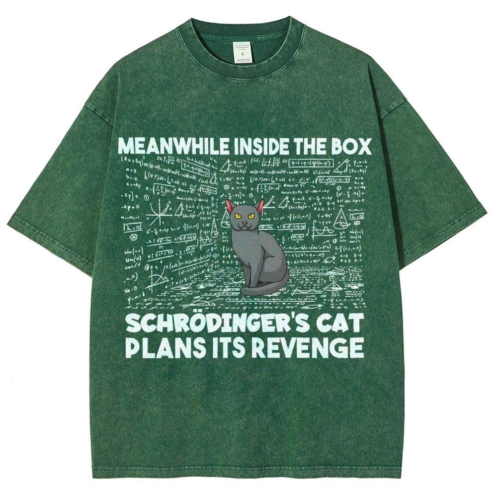 Inside The Box Schrödingers Cat Plans Its Revenge Vintage Distressed T-shirt