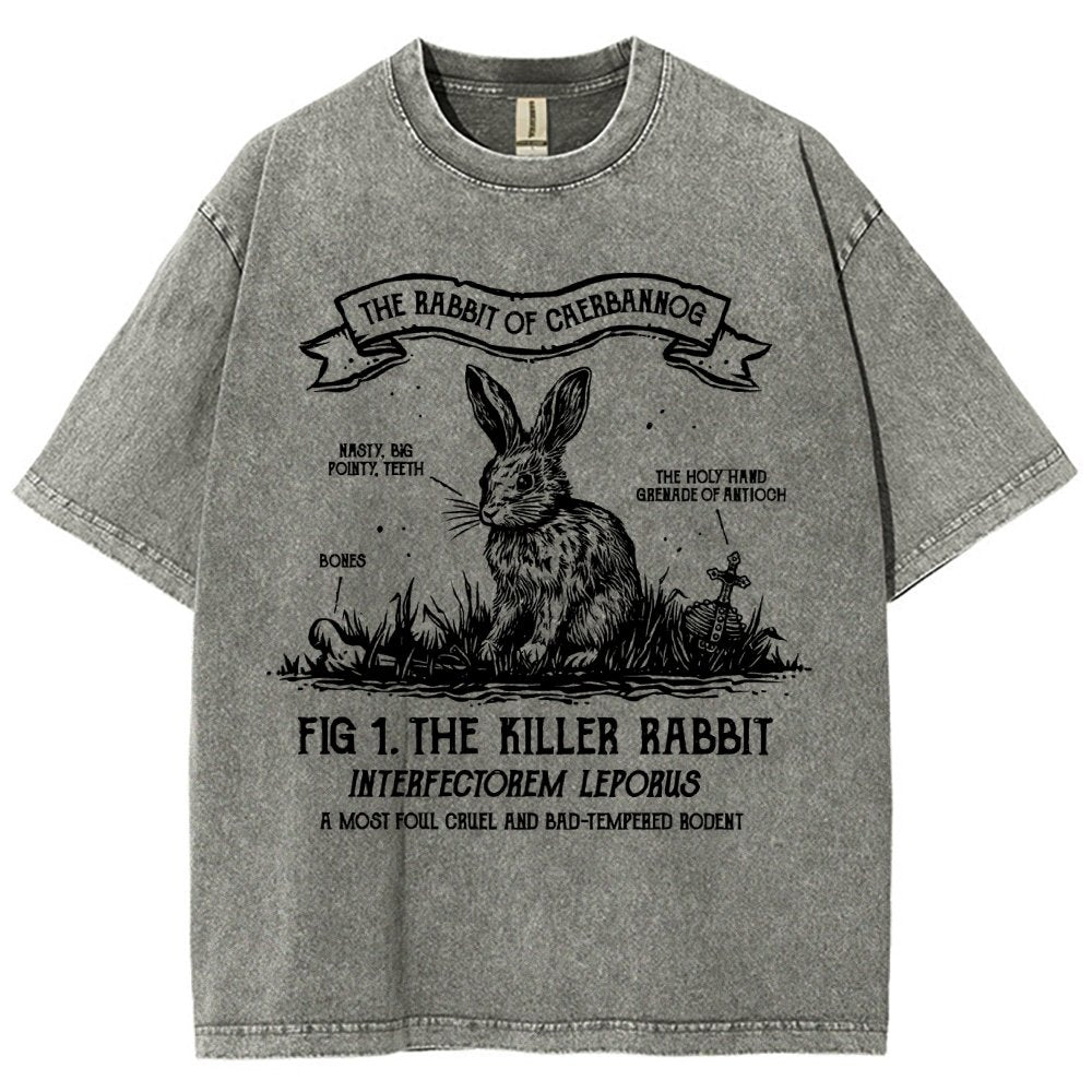 The Rabbit of Mysterious Place Vintage Distressed T-shirt