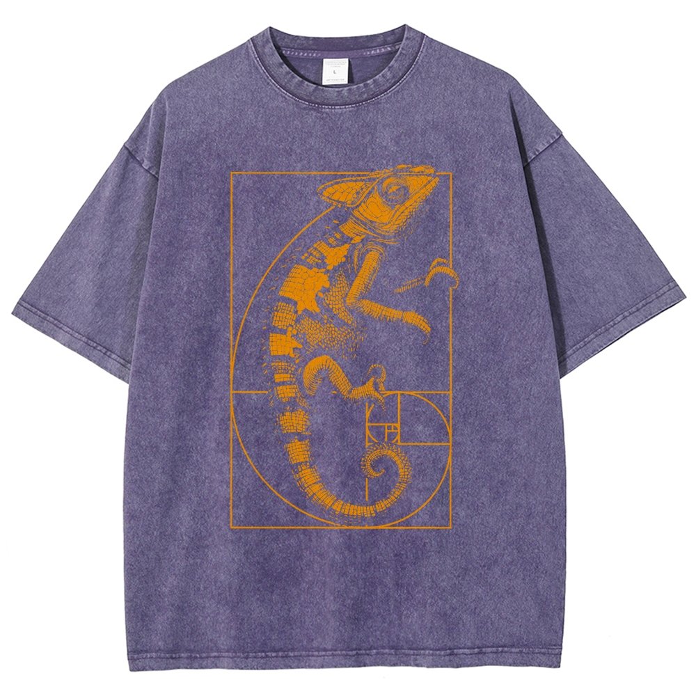 Chameleon Ratio Vintage Distressed T-shirt
