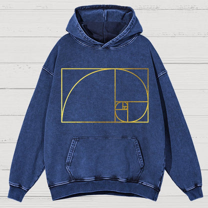 Distressed Fibonacci Spiral Geek Graphic Vintage Distressed Hoodie