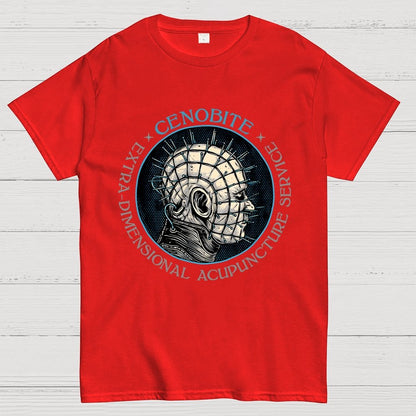 Extra Dimensional Acupuncture Geek T-Shirt