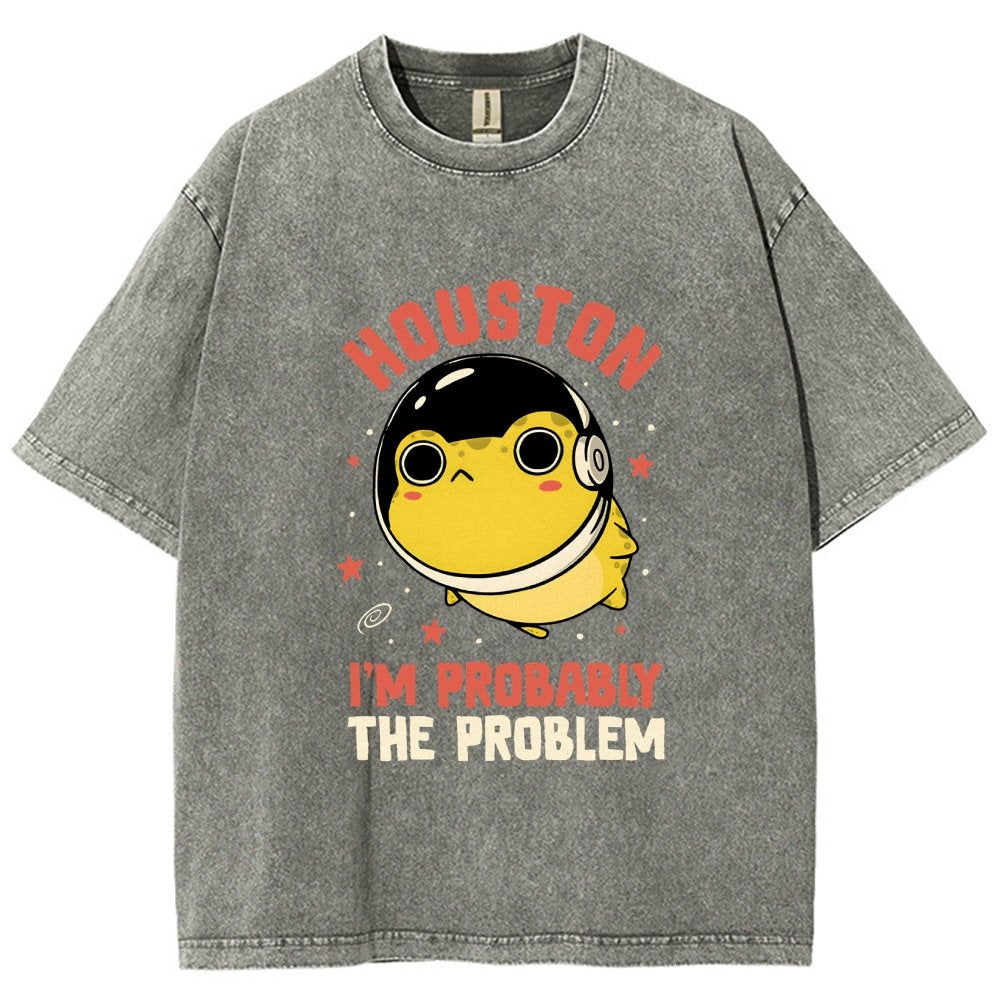 Houston Im Probably The Problem Vintage Distressed T-shirt
