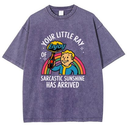 Your Little Ray of Sarcastic Sunshine Has Arrived Vintage Distressed T-shirt