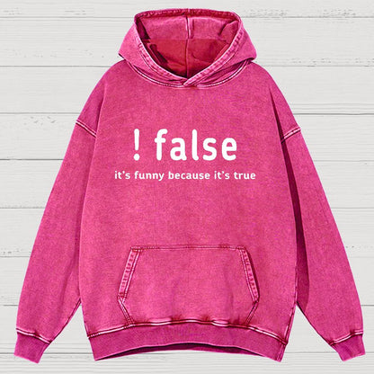 False It's Funny Because It's True Vintage Distressed Hoodie