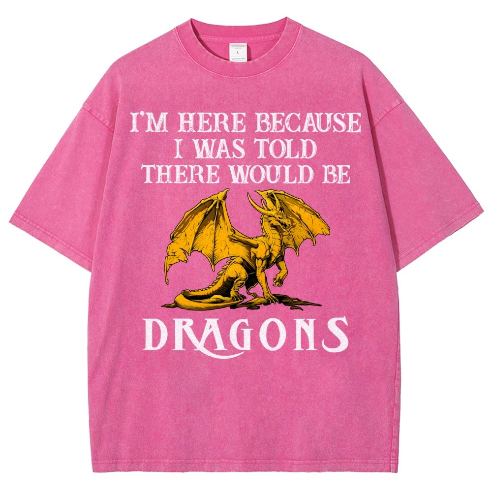 I'm Here Because I Was Told There Would Be Dragons Vintage Distressed T-shirt