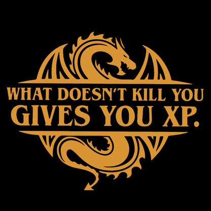 What Doesnt Kill You Give You Experience Geeky T-Shirt