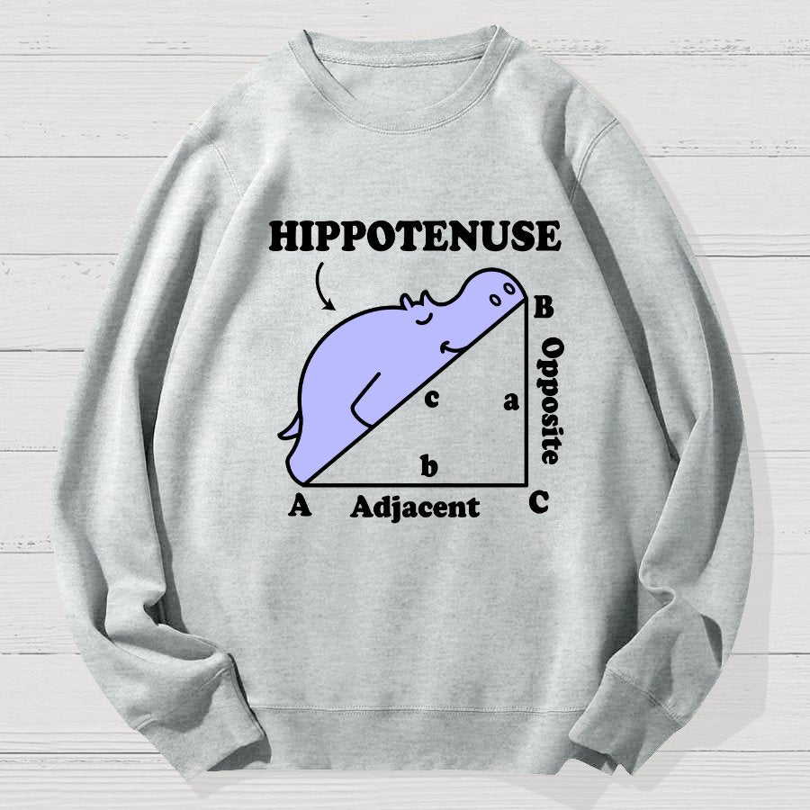 Hypotenuse Math Pun, Hippotenuse Essential Geek Cotton Sweatshirt