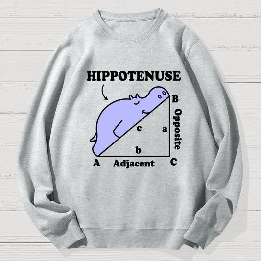 Hypotenuse Math Pun, Hippotenuse Essential Geek Cotton Sweatshirt