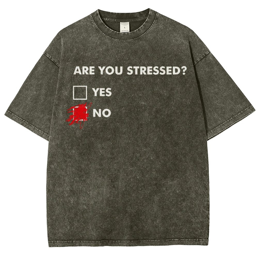 Fuuny Word Are You Stressed No Vintage Distressed T-shirt