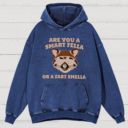 Are You A Smart Fella Or Fart Smella Vintage Distressed Hoodie
