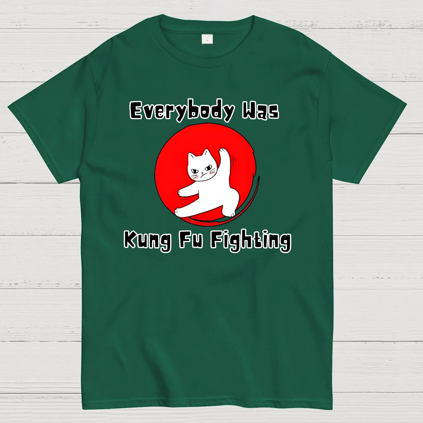 Everybody Was Kung Fu Fighting Geek T-Shirt