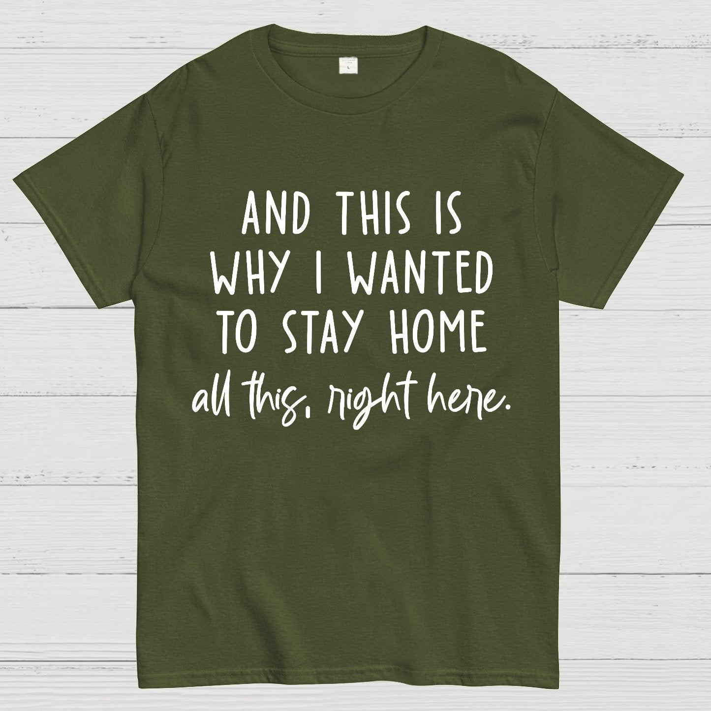 Sarcastic Introvert And This Is Why I Wanted To Stay Home Geek T-Shirt