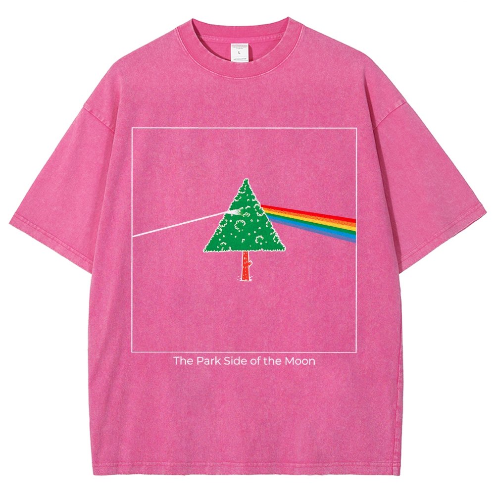 The Park Side of the Moon Vintage Distressed T-shirt