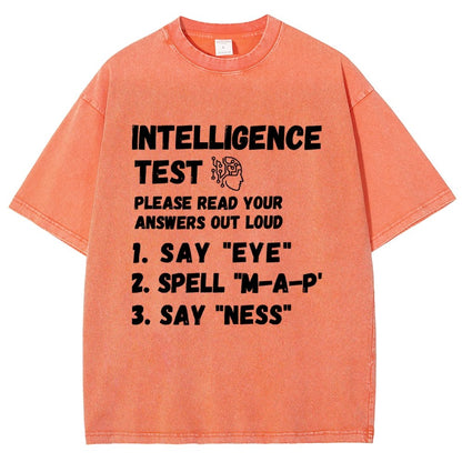Intelligence Test Say Eye M A P Ness Vintage Distressed T-shirt