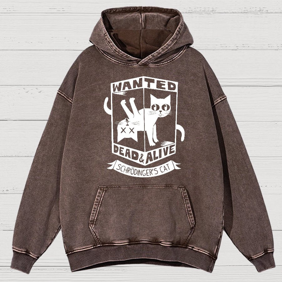 Schrödinger's Cat Mathe, Physics Vintage Distressed Hoodie