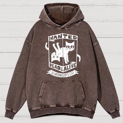 Schrödinger's Cat Mathe, Physics Vintage Distressed Hoodie