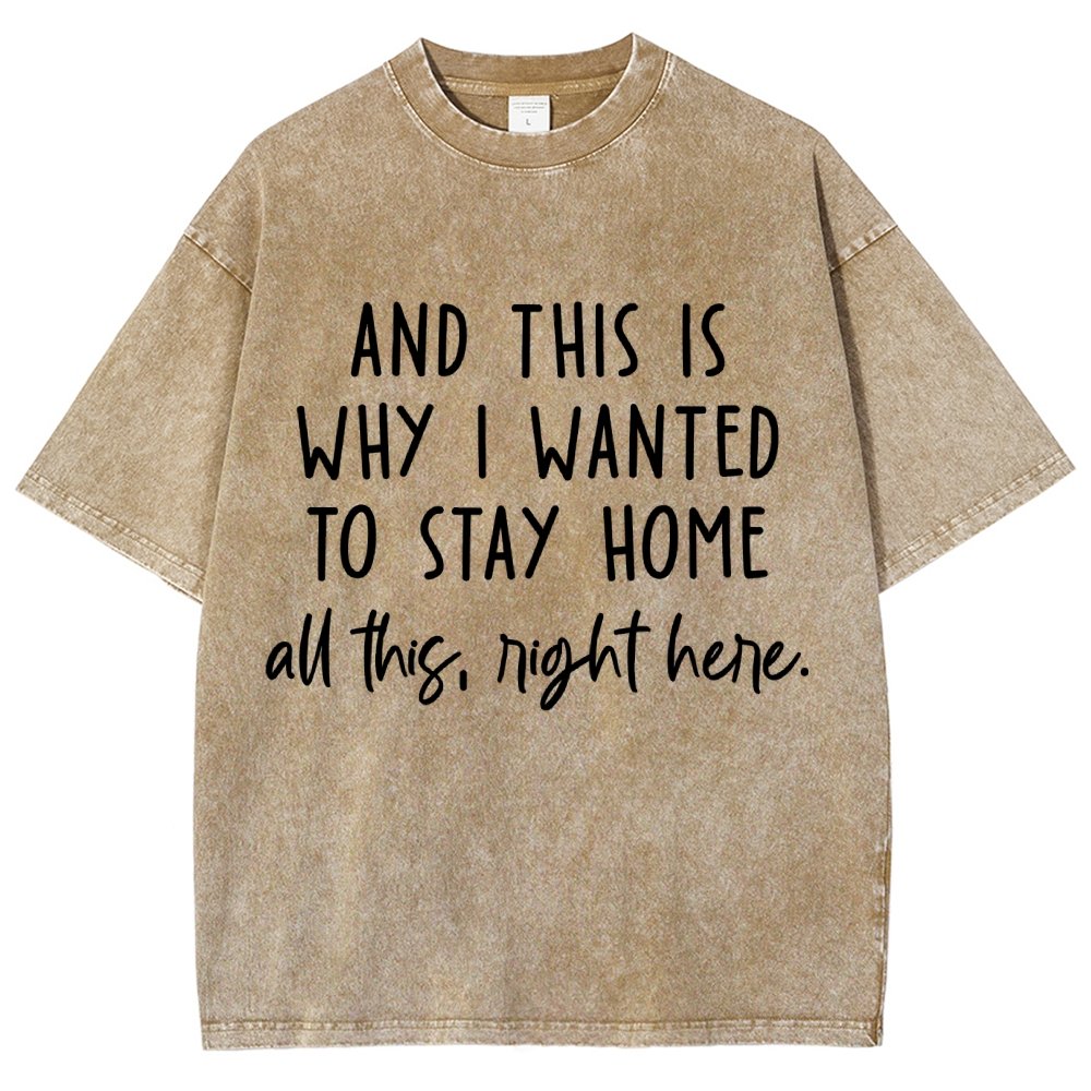 Sarcastic Introvert And This Is Why I Wanted To Stay Home Vintage Distressed T-shirt