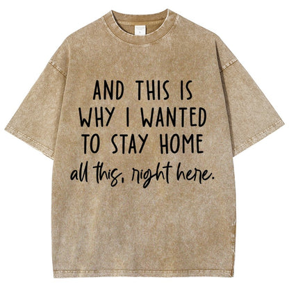 Sarcastic Introvert And This Is Why I Wanted To Stay Home Vintage Distressed T-shirt