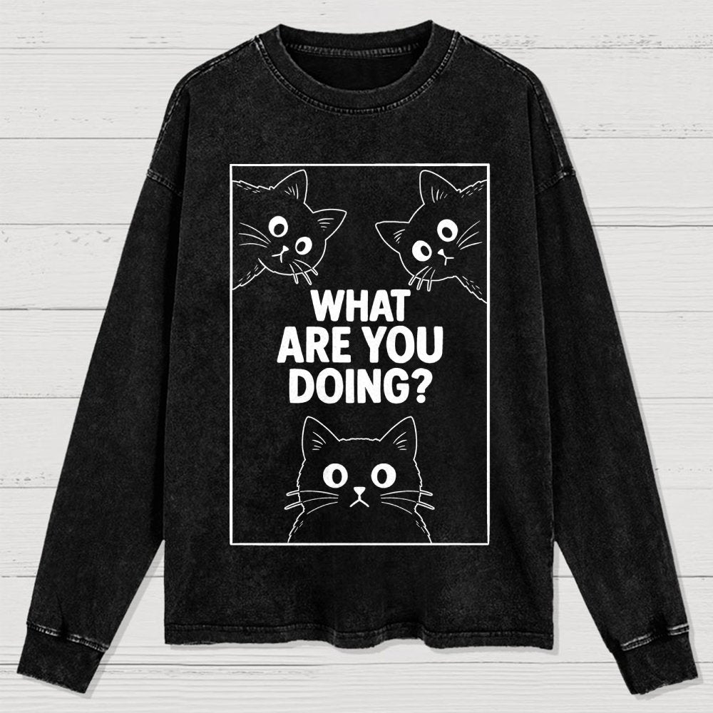 What Are You Doing Washed Long Sleeve Tee