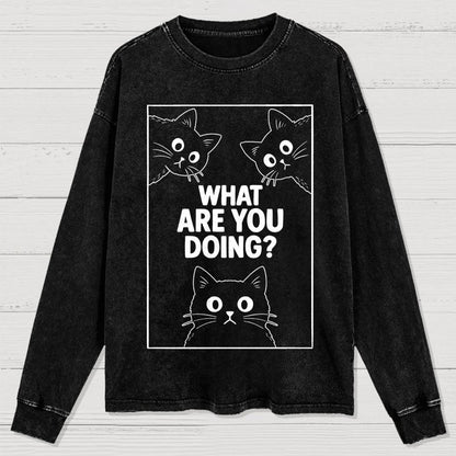 What Are You Doing Washed Long Sleeve Tee