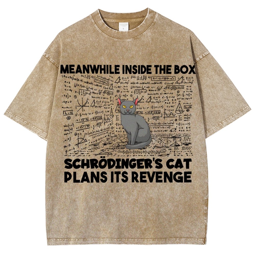 Inside The Box Schrödingers Cat Plans Its Revenge Vintage Distressed T-shirt