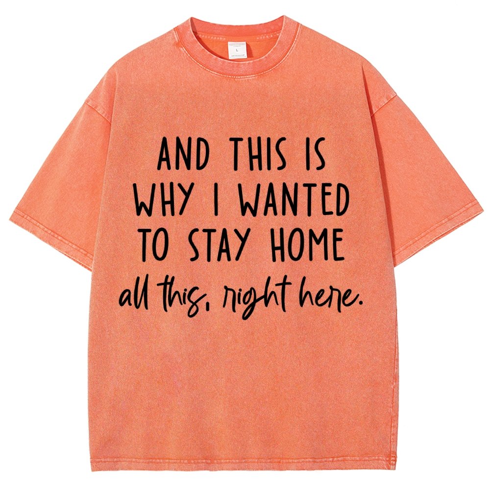 Sarcastic Introvert And This Is Why I Wanted To Stay Home Vintage Distressed T-shirt