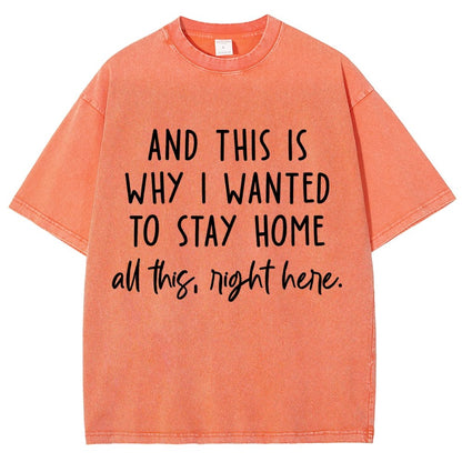 Sarcastic Introvert And This Is Why I Wanted To Stay Home Vintage Distressed T-shirt