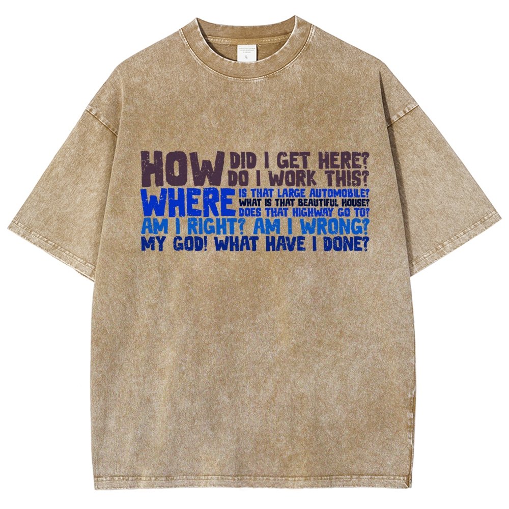 How Did I Get Here Vintage Distressed T-shirt