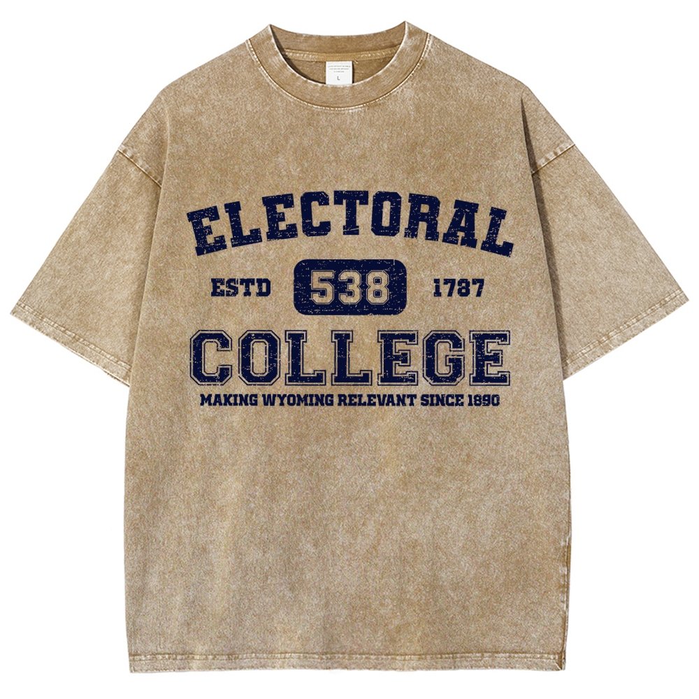 The Electoral College Vintage Distressed T-shirt