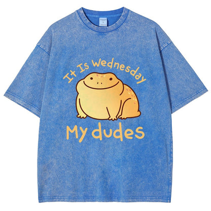 It's Wednesday My Dudes Vintage Distressed T-shirt