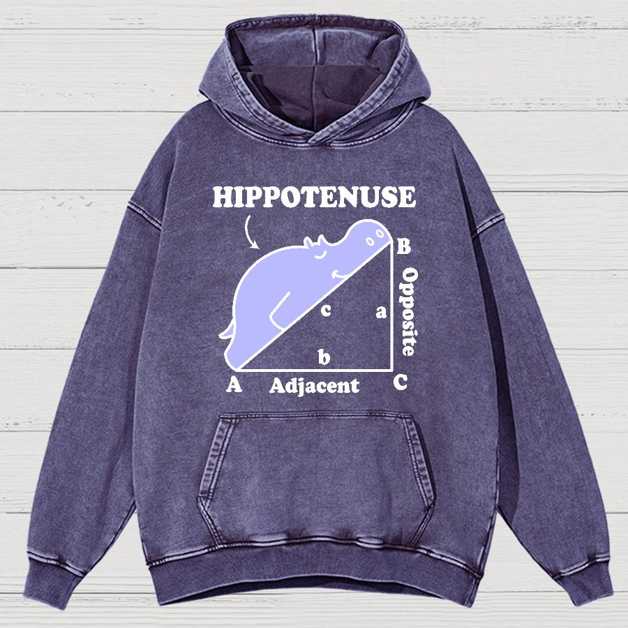 Hypotenuse Math Pun, Hippotenuse Essential Vintage Distressed Hoodie