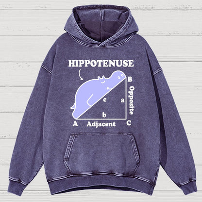 Hypotenuse Math Pun, Hippotenuse Essential Vintage Distressed Hoodie