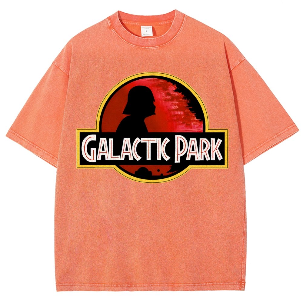 Cosmic Park Vintage Distressed T-shirt
