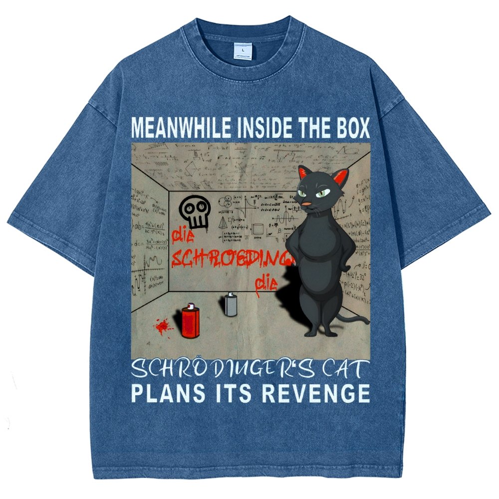 Inside The Box：Schrödingers Cat Plans Its Revenge Vintage Distressed T-shirt