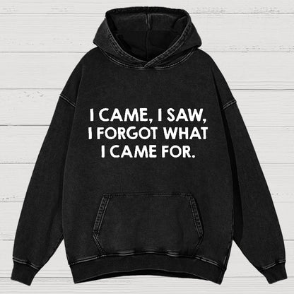 I Came and Saw Funny  Vintage Distressed Hoodie